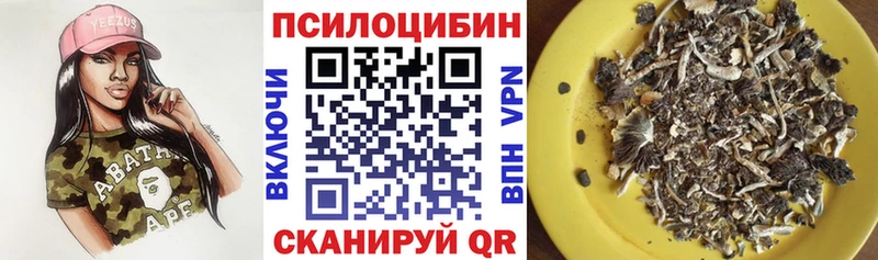 Купить где  Кстово  Галлюциногенные грибы Magic Shrooms 